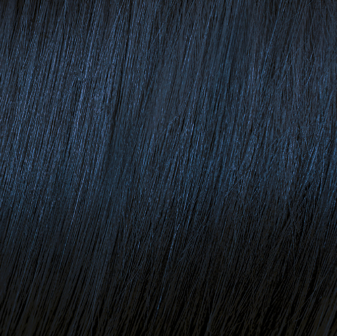 1.11 Intense Ash Negro Azulado