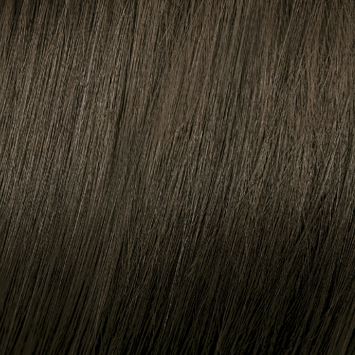 6.1 Ash Rubio Oscuro Ceniza