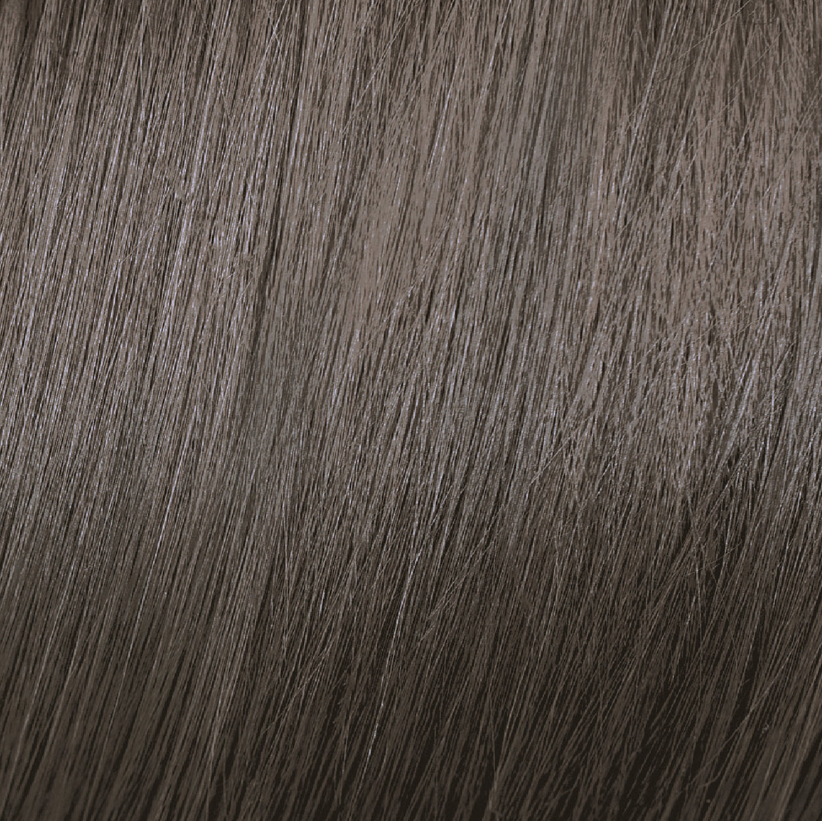 8.1 Ash Rubio Claro Ceniza