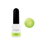 Exotic Eclectus Parrot