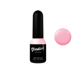 Studios Fall in Love