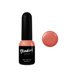 Studios Didier Pleasure