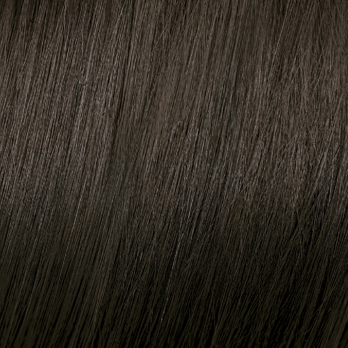 5.1 Ash Castaño Claro Ceniza