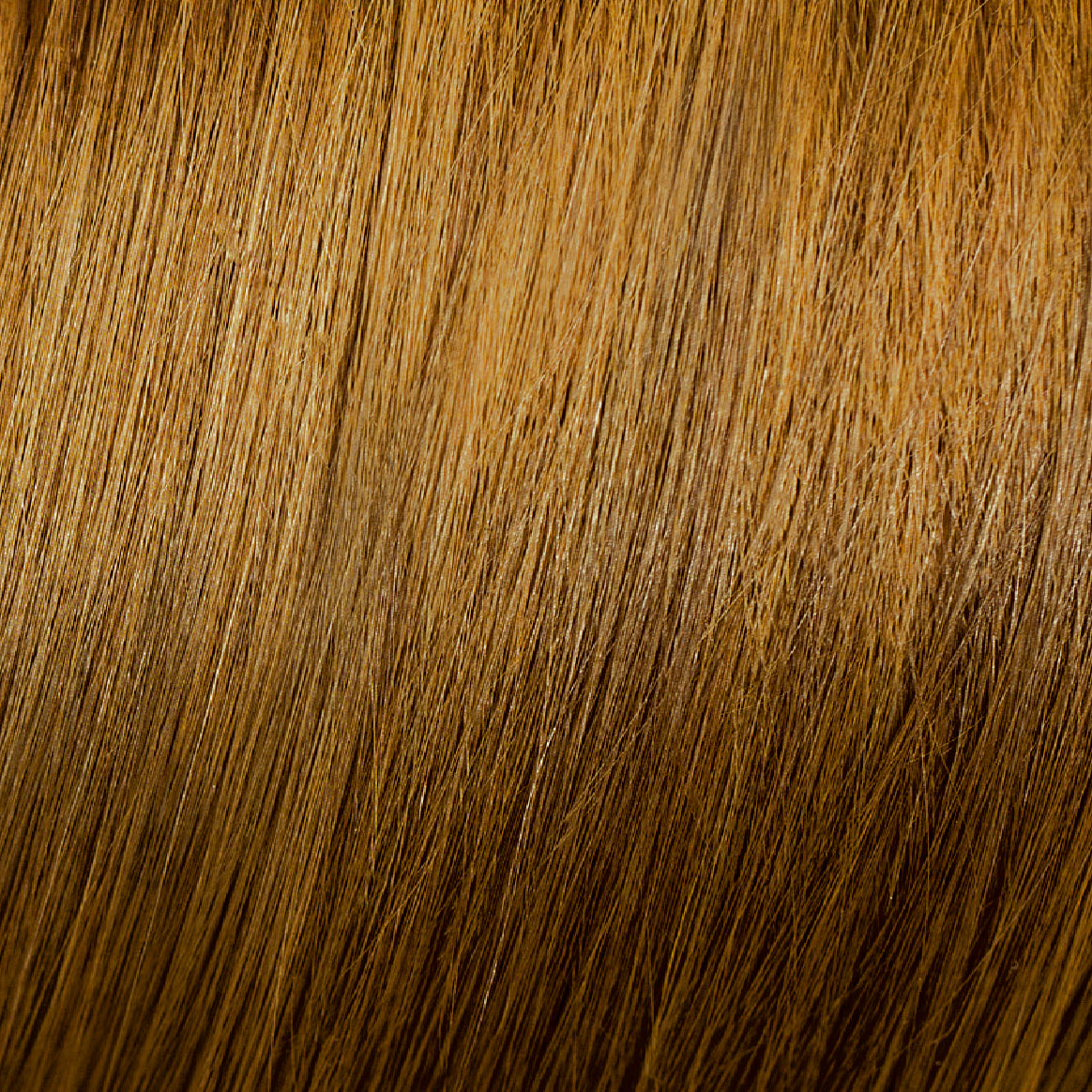 7.3 Dorado Rubio Dorado