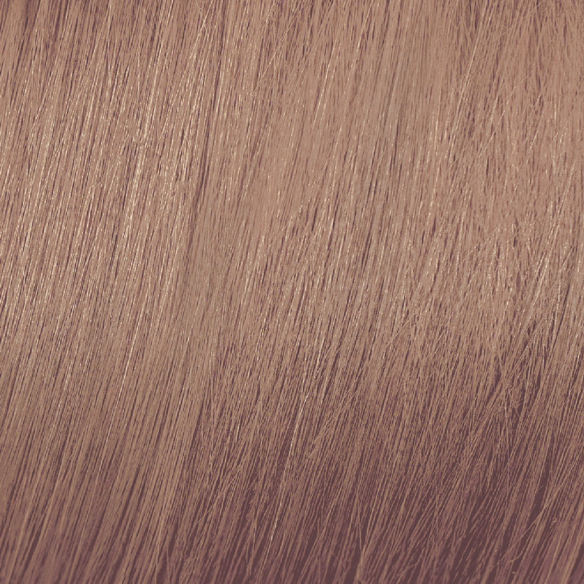 8.23 Mocha & Beige Rubio Claro Beige