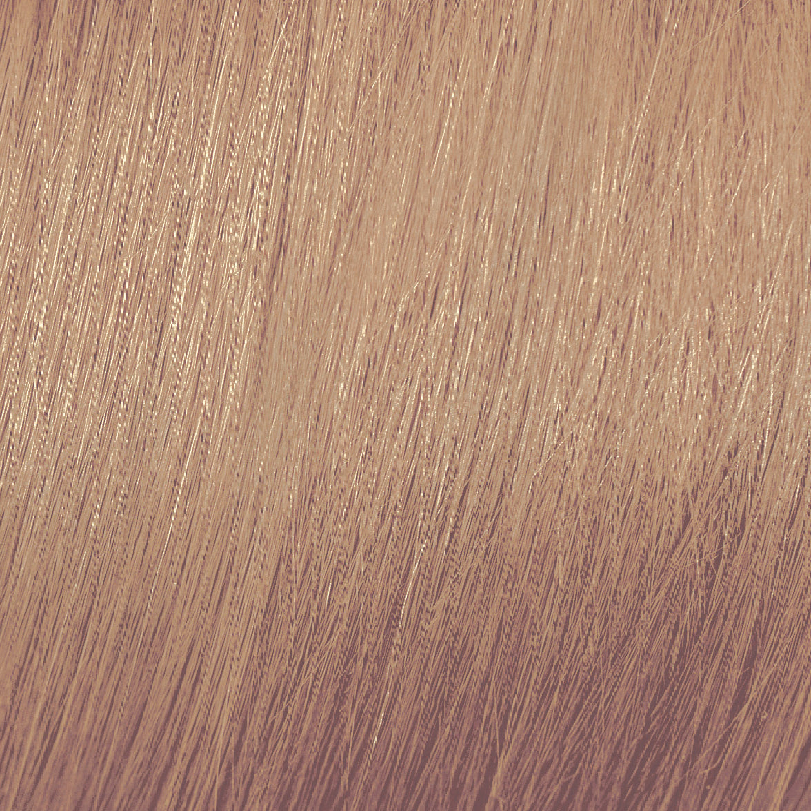 9.23 Mocha & Beige Rubio Clarisimo Beige