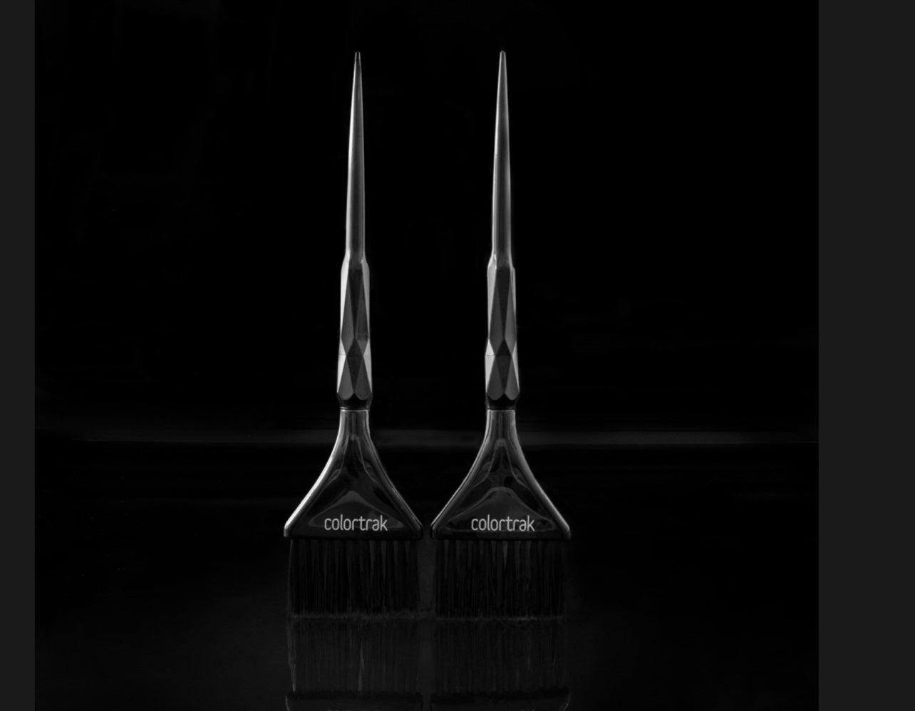 Black Diamond 2PK Brushes